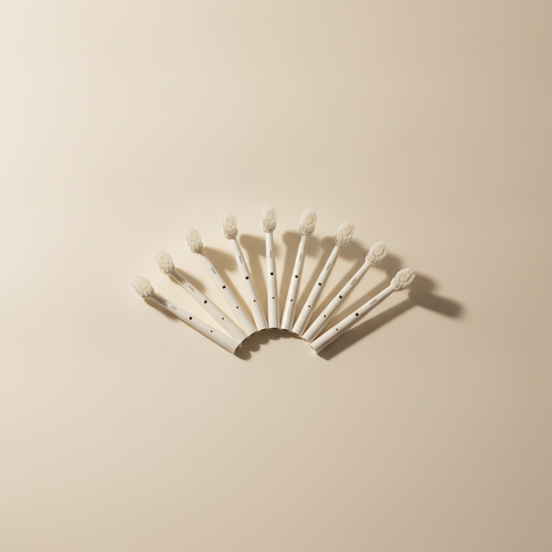 Brush Heads Annual Pack
