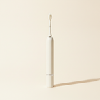 Sonic Electric Toothbrush